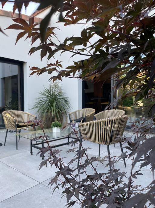 Villa Moderne Avec Piscine Albi Eksteriør bilde