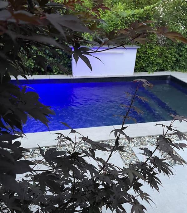 Villa Moderne Avec Piscine Albi Eksteriør bilde